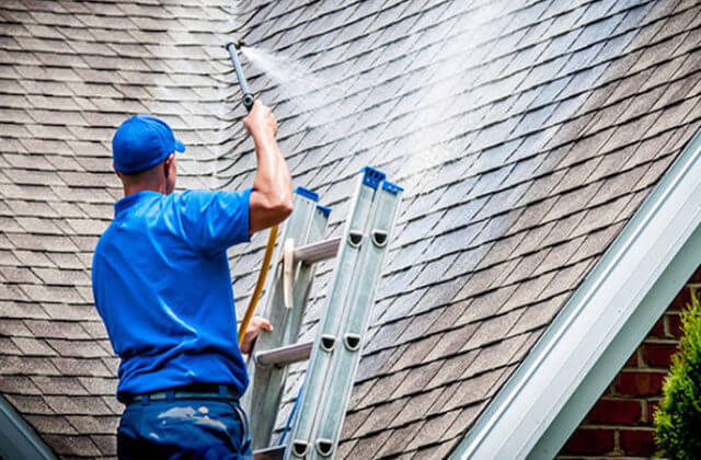pasadena roof cleaning